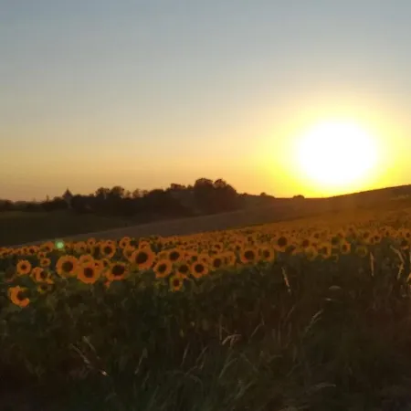 Quartier Du Chateau Holiday home