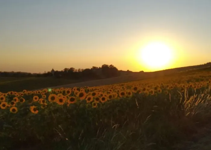 Quartier Du Chateau Vakantiehuis